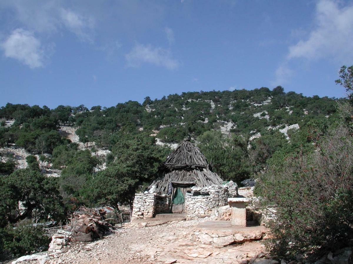 Hébergement de vacances Casa Bados *